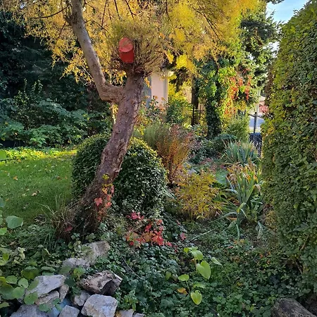 Utulne Zatisie V Zoborskom Dome