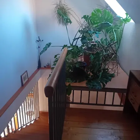 Utulne Zatisie V Zoborskom Dome