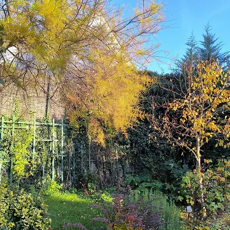 Utulne Zatisie V Zoborskom Dome * Nyitra