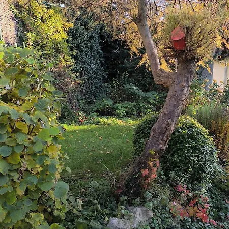 Utulne Zatisie V Zoborskom Dome Nyaraló Nyitra